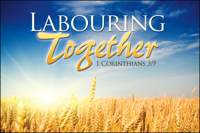 Fellow Laborers in the Lord’s Vineyard