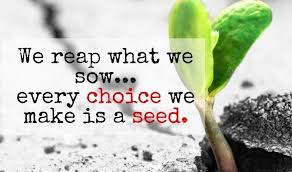 We Reap what We Sow!