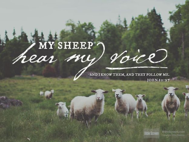 Jesus, our Shepherd